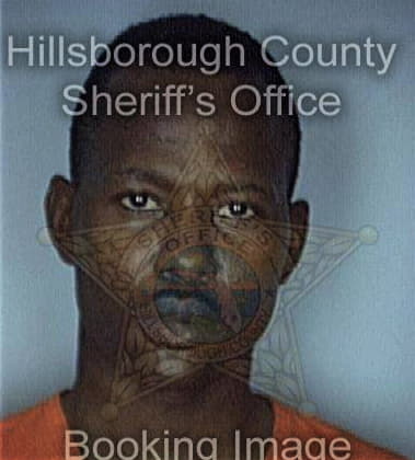 Reginald Holden, - Hillsborough County, FL 