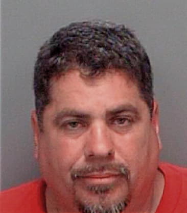 Manuel Luyandoayala, - Pinellas County, FL 