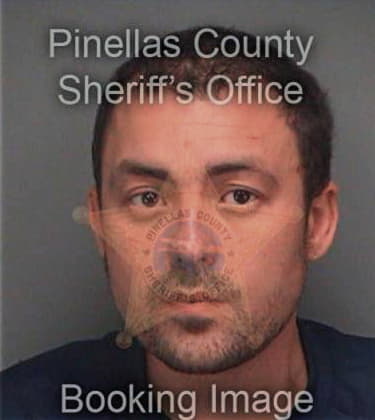 Richard Maffie, - Pinellas County, FL 