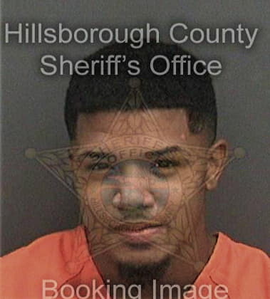 Stevenson Mitchell - Hillsborough County, FL 