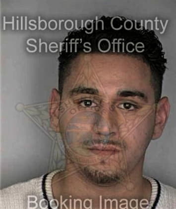 Michael Quirantes, - Hillsborough County, FL 