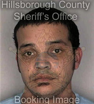 Michael Wiley - Hillsborough County, FL 