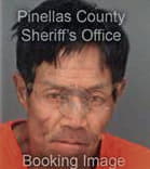 Cuong Chau, - Pinellas County, FL 