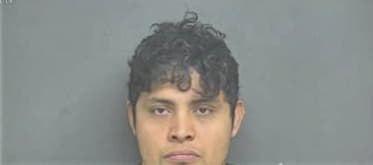 Ricky Coronado, - Bedford County, VA 