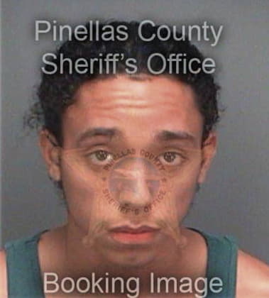 Enrique Gonzalez, - Pinellas County, FL 