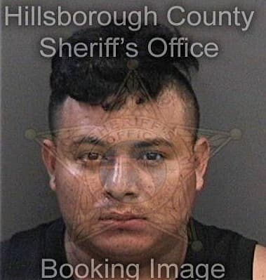 Daniel Guggenheim, - Hillsborough County, FL 