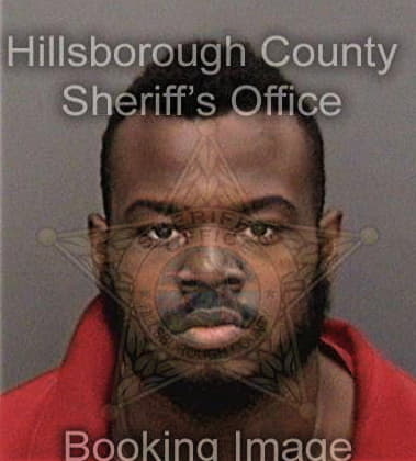 Michael Johnson, - Hillsborough County, FL 