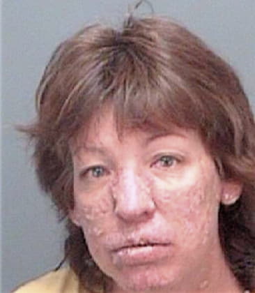 Christine McKinney - Pinellas County, FL 