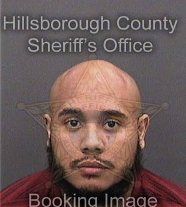 Xavier Reyes, - Hillsborough County, FL 