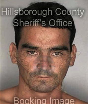 Robert Stinson, - Hillsborough County, FL 