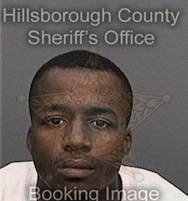 Lorenzo Ashley, - Hillsborough County, FL 