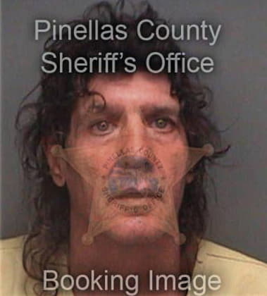 Michael Baughman, - Pinellas County, FL 