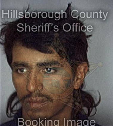 Alfred Bradley - Hillsborough County, FL 