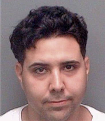 Venancio Hernandez, - Pinellas County, FL 