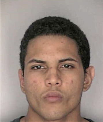 Floyd Metz - Hillsborough County, FL 