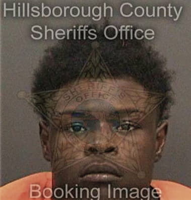 Clozel Michel - Hillsborough County, FL 