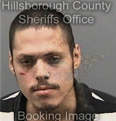 Johnny Stell, - Hillsborough County, FL 