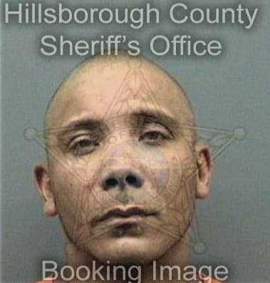 Matthew Tewes, - Hillsborough County, FL 