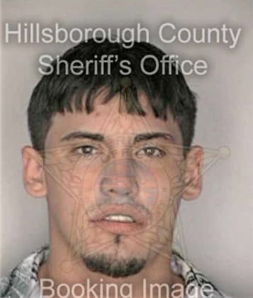 Pedro Torres, - Hillsborough County, FL 