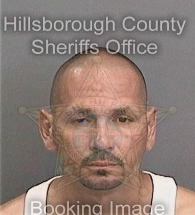 Ayad Albayati, - Hillsborough County, FL 