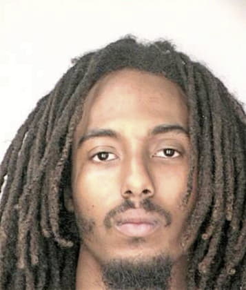 Ronald Brinson - Hillsborough County, FL 