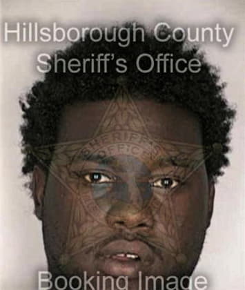 Ronald McClendon - Hillsborough County, FL 