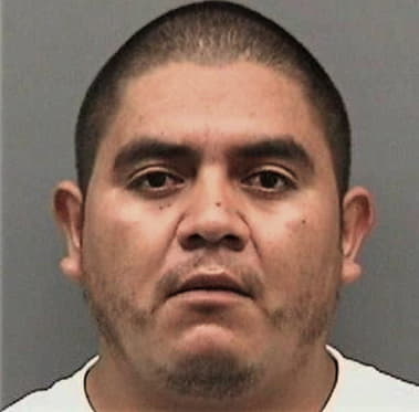 Irving Miguelflores - Hillsborough County, FL 