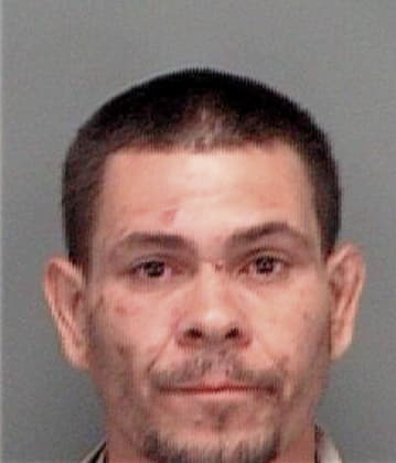 Mauro Trejo, - Pinellas County, FL 