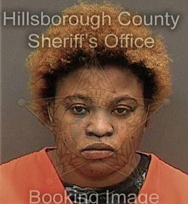 Levada Bellamy, - Hillsborough County, FL 