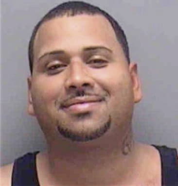 Luis Dearcia-Garcia, - Lee County, FL 