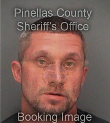 Nemanja Golijanin, - Pinellas County, FL 