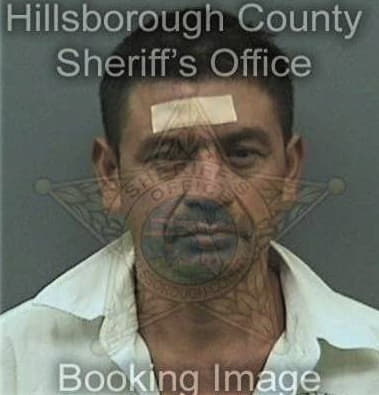 Talat Hasan, - Hillsborough County, FL 