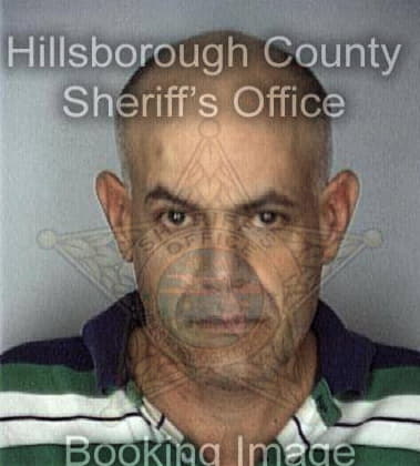 Francisco Hernan - Hillsborough County, FL 