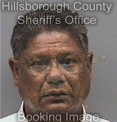 Ravinder Kalli, - Hillsborough County, FL 