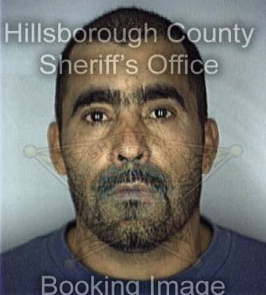 Willard Minor - Hillsborough County, FL 