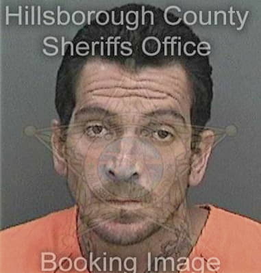 Bryan Callis, - Hillsborough County, FL 