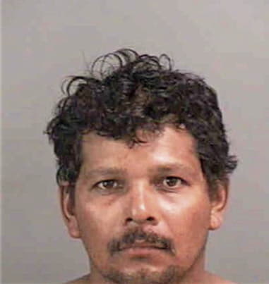 Higinio Castaneda, - Collier County, FL 