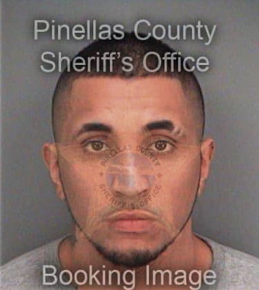 David Cruz, - Pinellas County, FL 