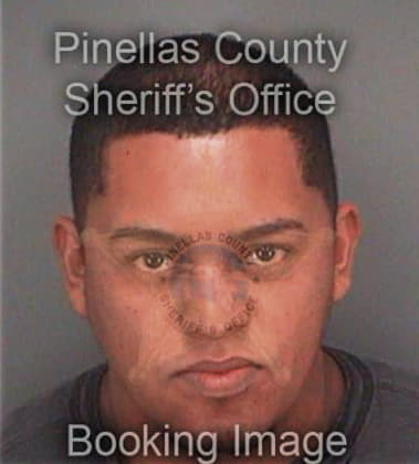 Francisco Diaz, - Pinellas County, FL 