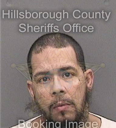 Natanael Figueroa, - Hillsborough County, FL 