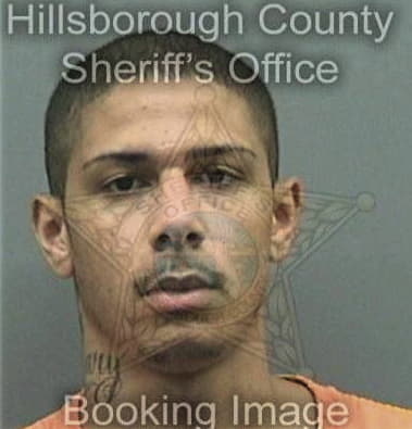 Leroy Gillins, - Hillsborough County, FL 