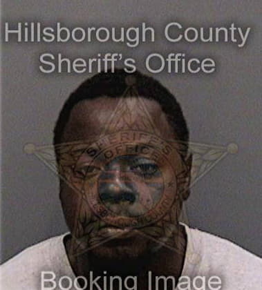 Hassan Lewis, - Hillsborough County, FL 