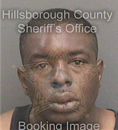 Theodore Williams, - Hillsborough County, FL 