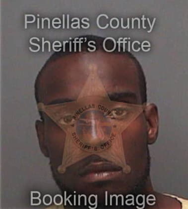 Anthony Fling, - Pinellas County, FL 