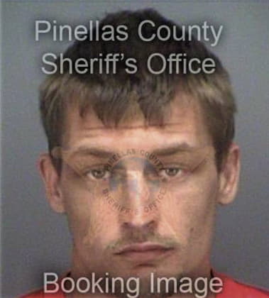 Vincent Michalowski, - Pinellas County, FL 