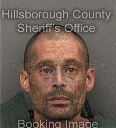 Ronald Nester, - Hillsborough County, FL 