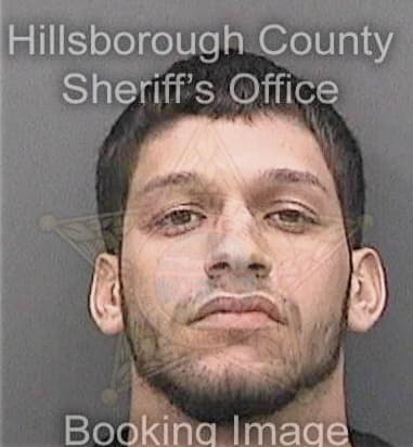 James Pulver, - Hillsborough County, FL 