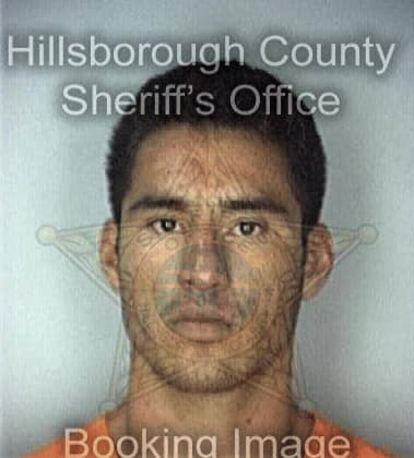 Robert Chyle - Hillsborough County, FL 