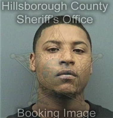 Hafiz Fashola, - Hillsborough County, FL 