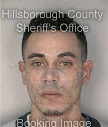 Robert Hollows, - Hillsborough County, FL 